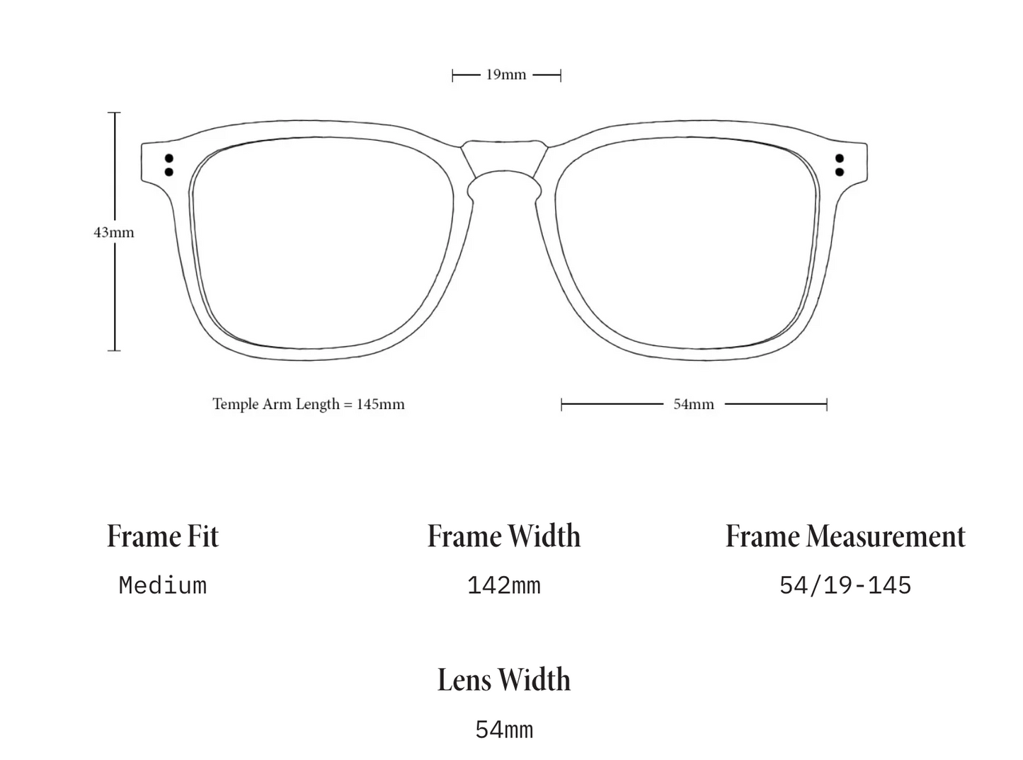 Raen Wiley Sunglasses Sante Fee Tortoise/ Vibrant Brown Polarized