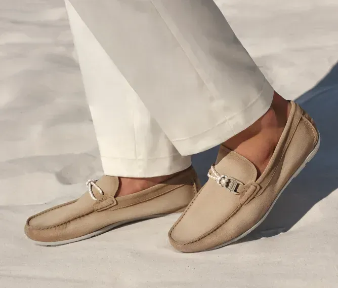 Magnanni campaign